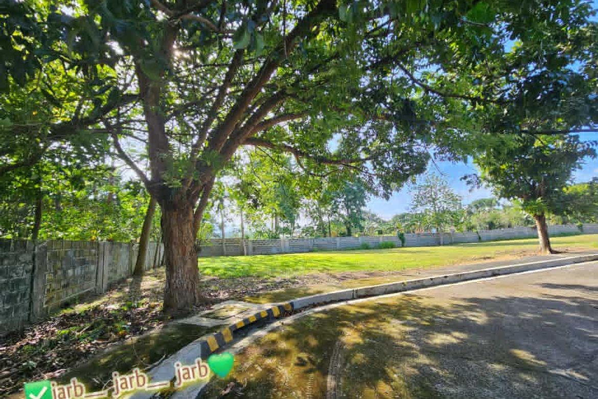 Land for Sale in Catalunan Pequeño, Davao City, Davao del Sur – photo 8