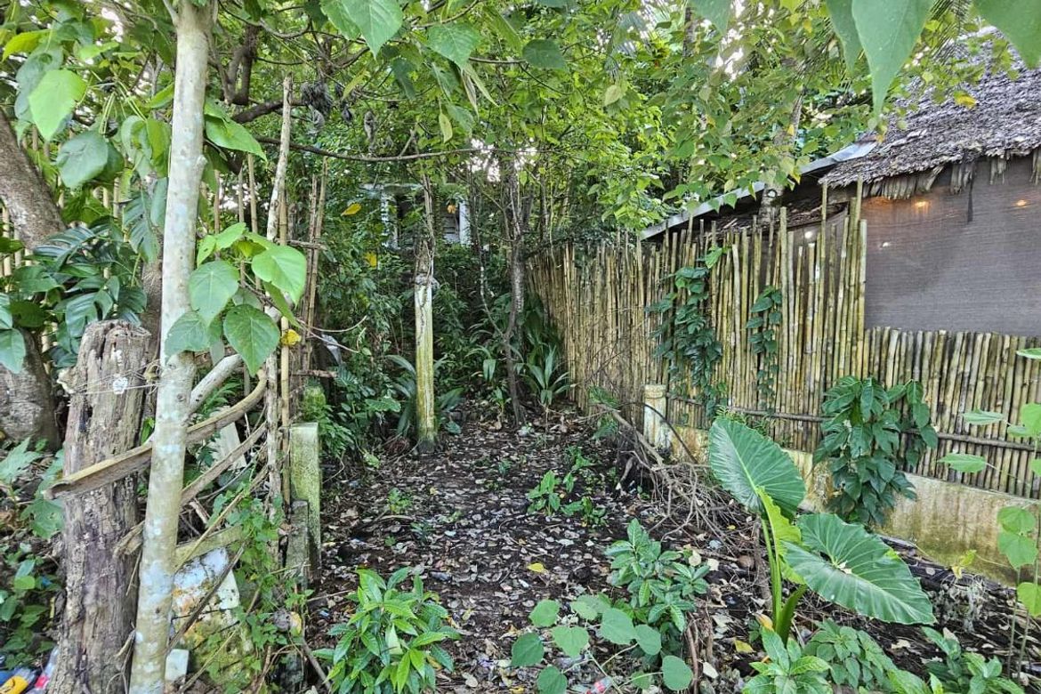 Land for Sale in Catangnan, General Luna, Surigao del Norte – photo 5