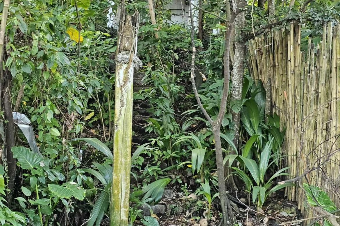 Land for Sale in Catangnan, General Luna, Surigao del Norte – photo 7