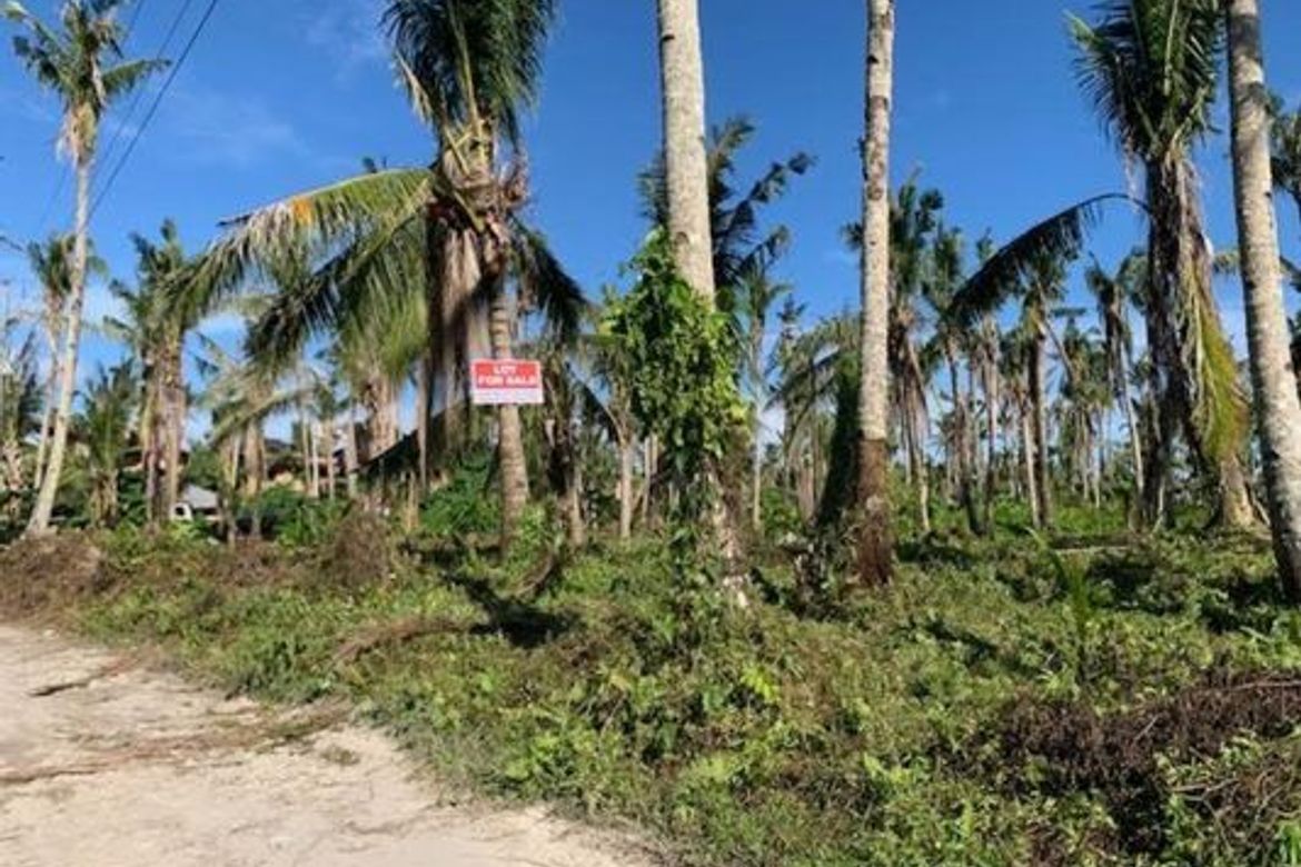 Land for Sale in Catangnan, General Luna, Surigao del Norte