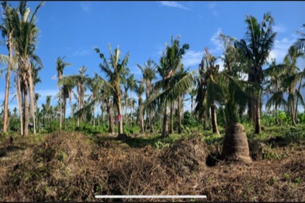 Land for Sale in Catangnan, General Luna, Surigao del Norte – photo 2