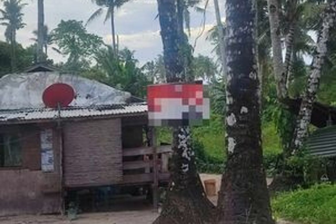 Land for Sale in Catangnan, General Luna, Surigao del Norte – photo 3