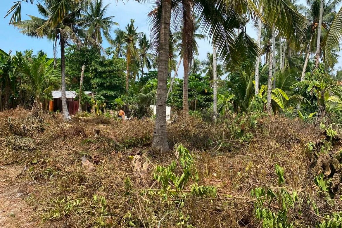 Land for Sale in Catangnan, General Luna, Surigao del Norte