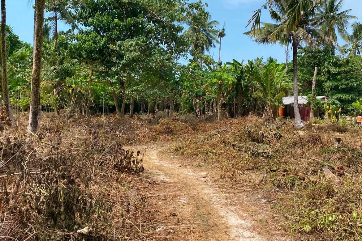 Land for Sale in Catangnan, General Luna, Surigao del Norte – photo 2
