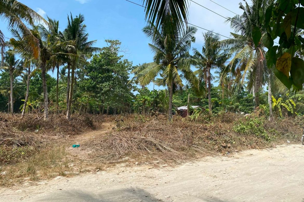 Land for Sale in Catangnan, General Luna, Surigao del Norte – photo 6