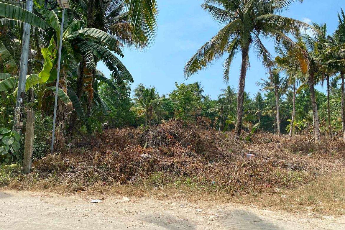 Land for Sale in Catangnan, General Luna, Surigao del Norte – photo 8