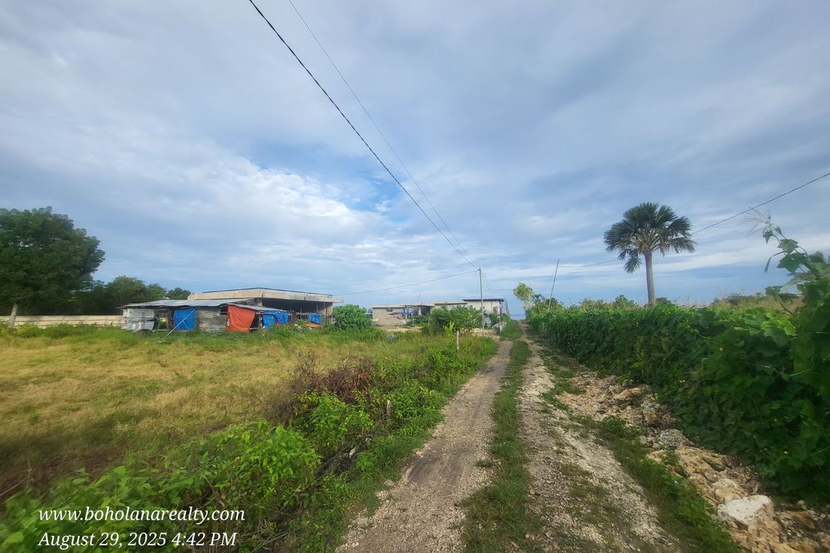 Land for Sale in Catarman, Dauis, Bohol – photo 2