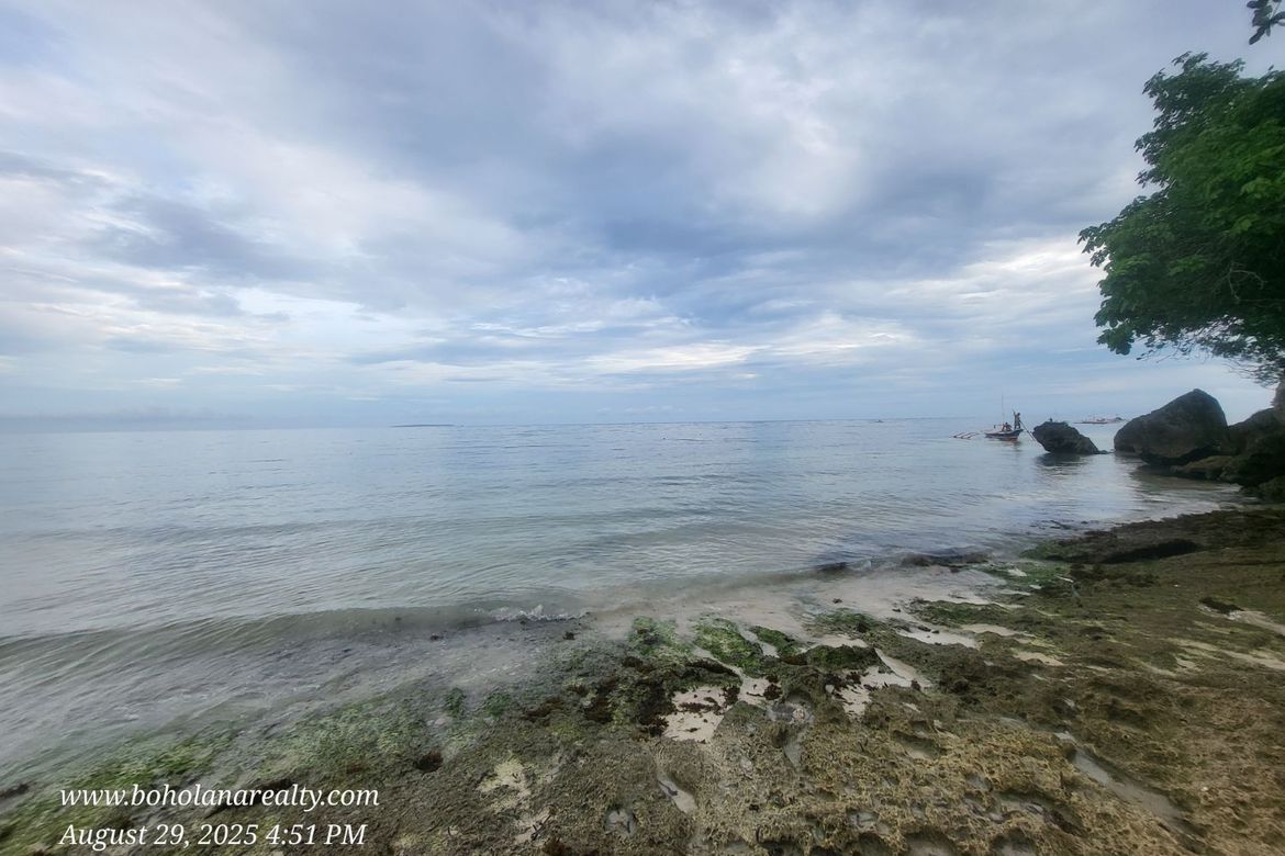 Land for Sale in Catarman, Dauis, Bohol – photo 4