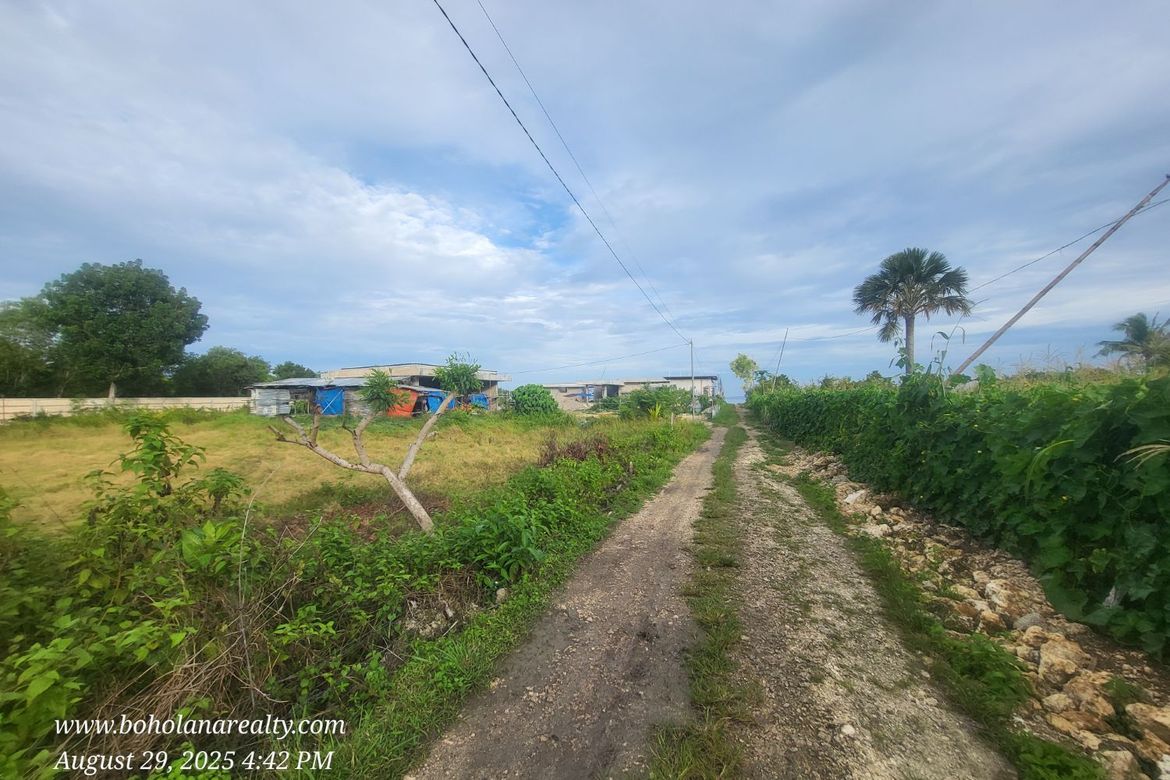 Land for Sale in Catarman, Dauis, Bohol – photo 6