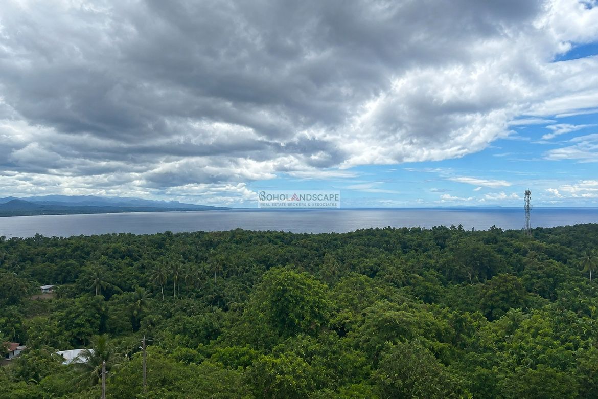 Land for Sale in Catarman, Dauis, Bohol – photo 2