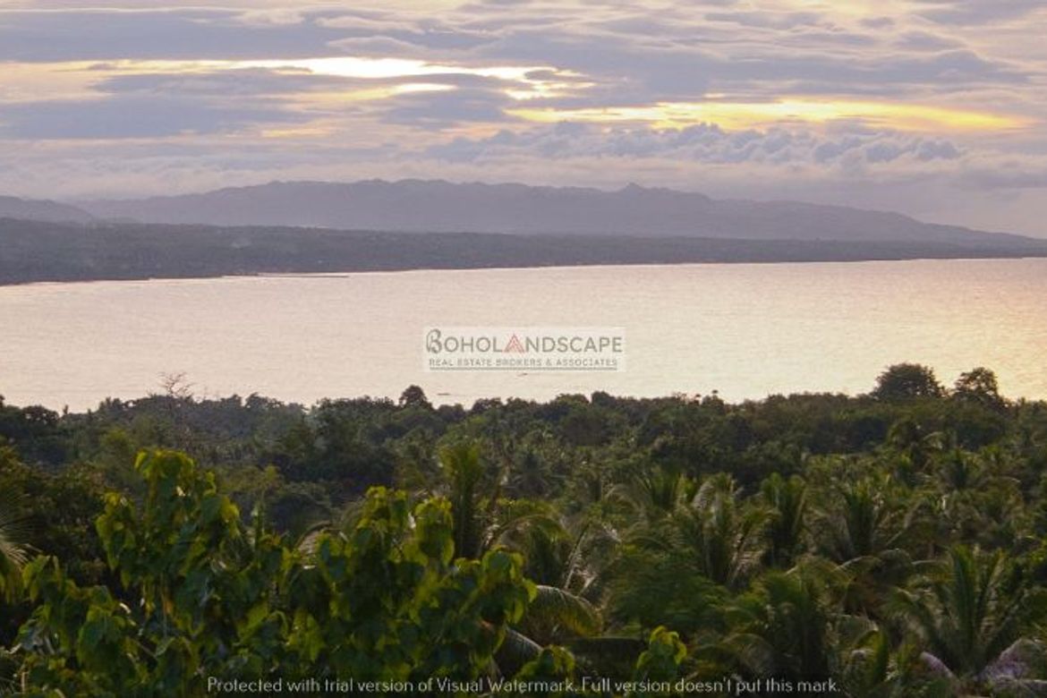 Land for Sale in Catarman, Dauis, Bohol – photo 5