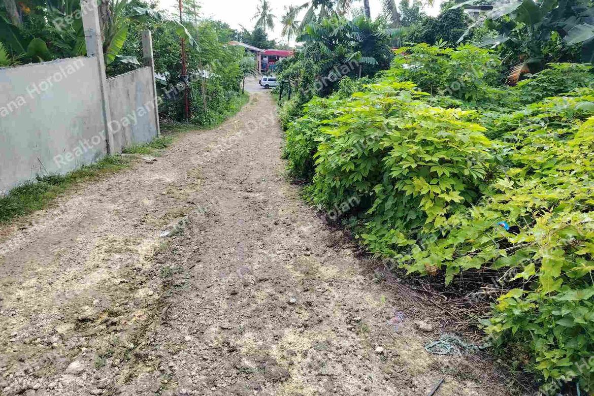 Land for Sale in Catarman, Dauis, Bohol – photo 3