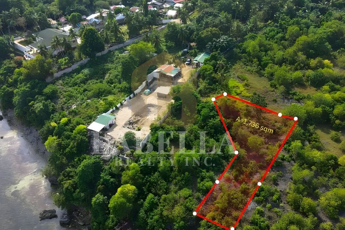 Land for Sale in Catarman, Dauis, Bohol – photo 2
