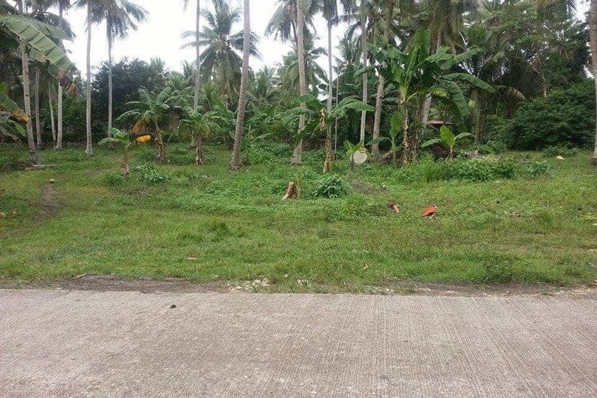 Land for Sale in Catarman, Dauis, Bohol