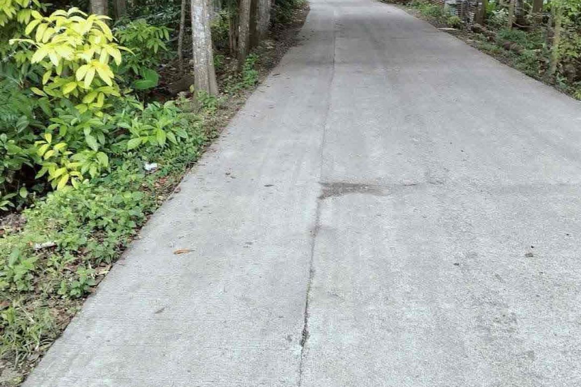 Land for Sale in Catarman, Dauis, Bohol – photo 3