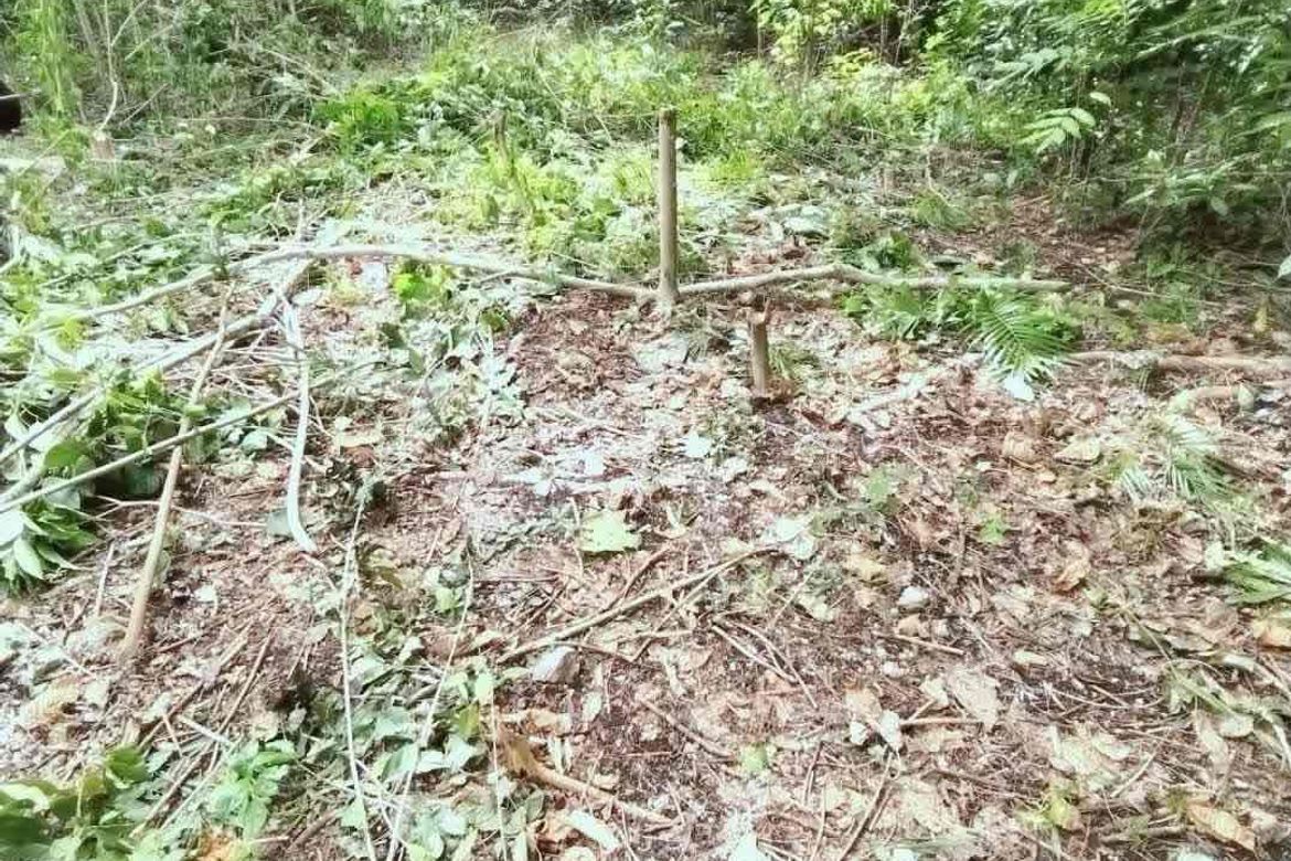 Land for Sale in Catarman, Dauis, Bohol – photo 4