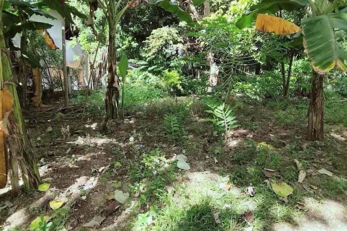 Land for Sale in Catarman, Dauis, Bohol – photo 7