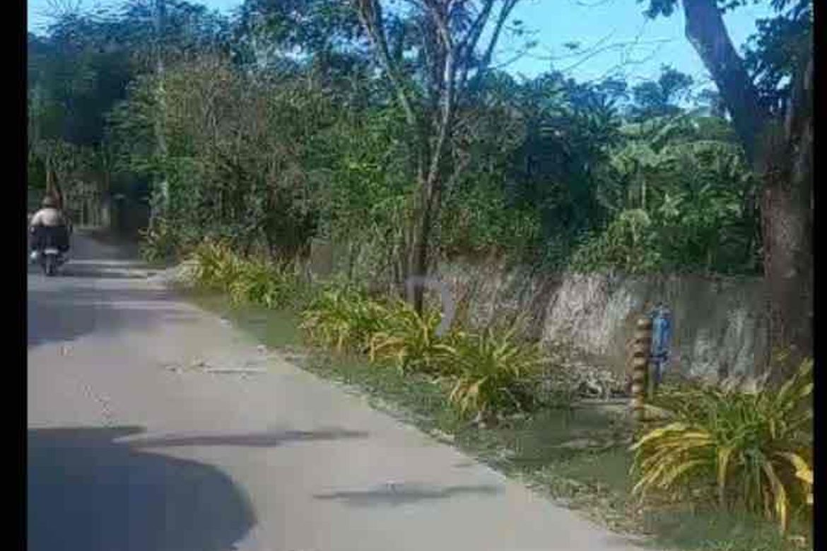 Land for Sale in Catarman, Liloan, Cebu