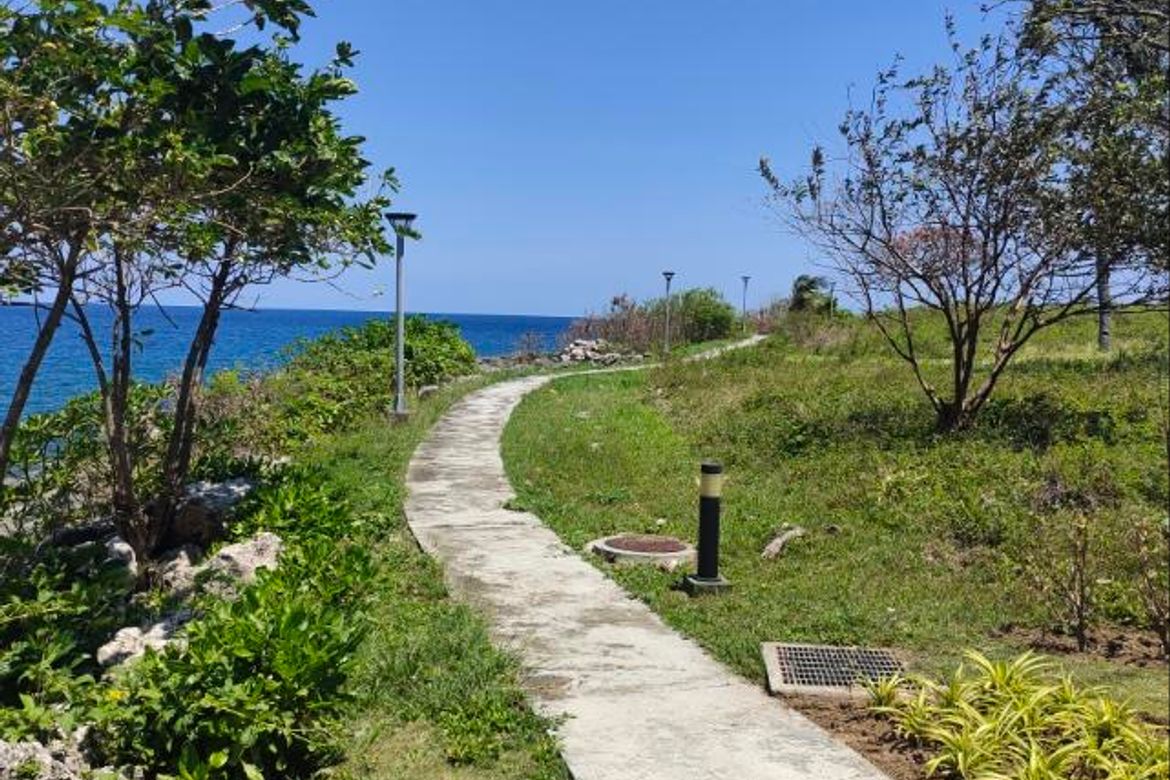 Land for Sale in Catarman, Liloan, Cebu – photo 6