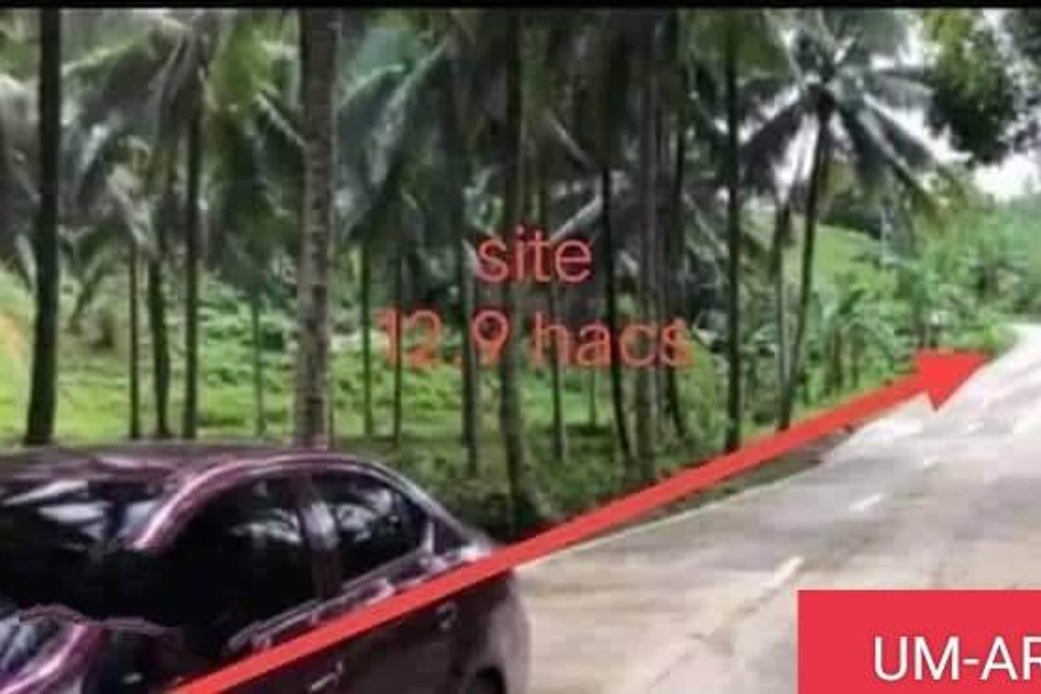 Land for Sale in Catarman, Liloan, Cebu – photo 2