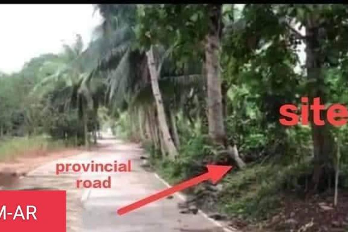 Land for Sale in Catarman, Liloan, Cebu – photo 3