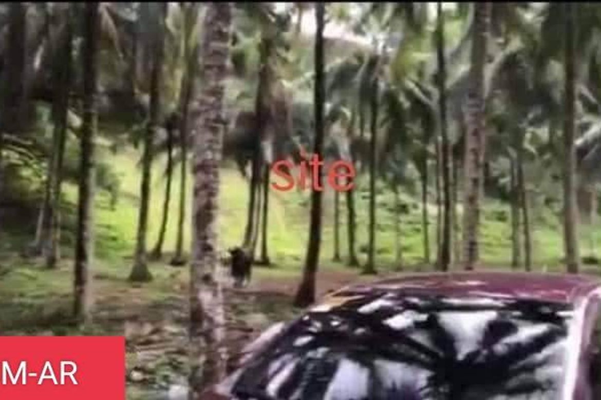 Land for Sale in Catarman, Liloan, Cebu – photo 7