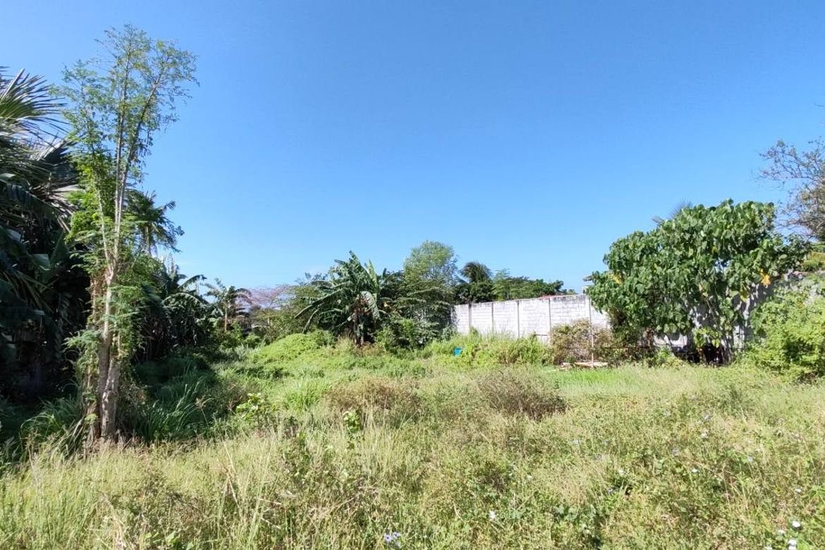 Land for Sale in Catarman, Liloan, Cebu – photo 2