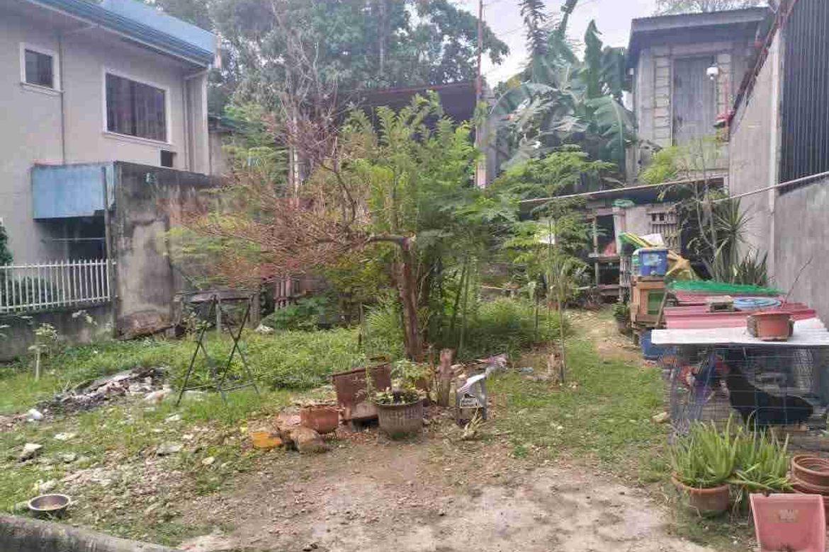 Land for Sale in Catarman, Liloan, Cebu – photo 6