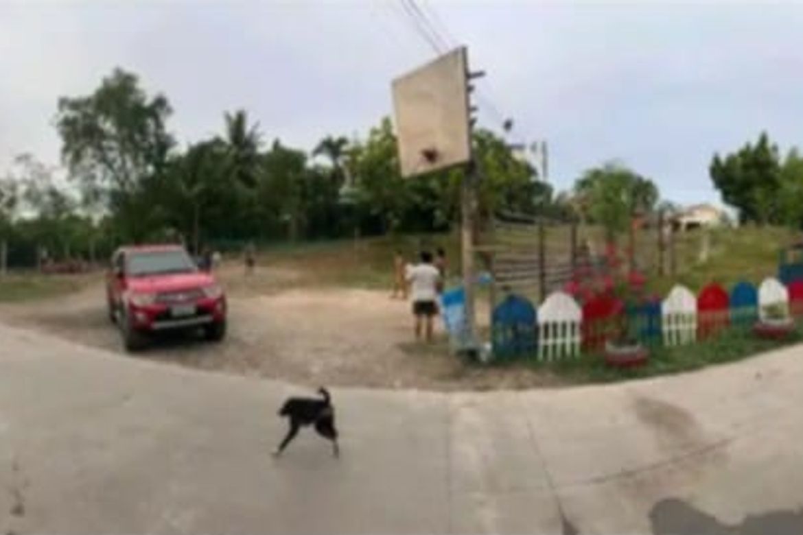 Land for Sale in Catarman, Liloan, Cebu – photo 2