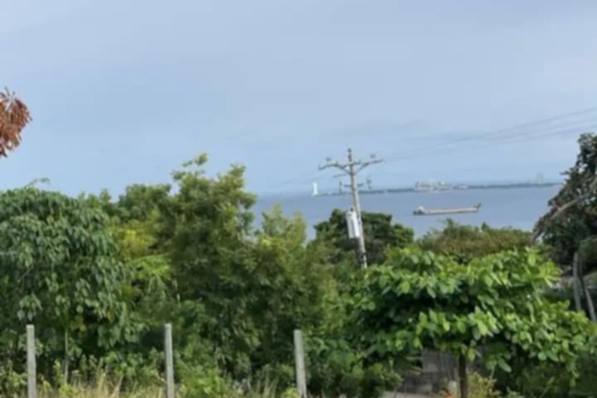 Land for Sale in Catarman, Liloan, Cebu – photo 6