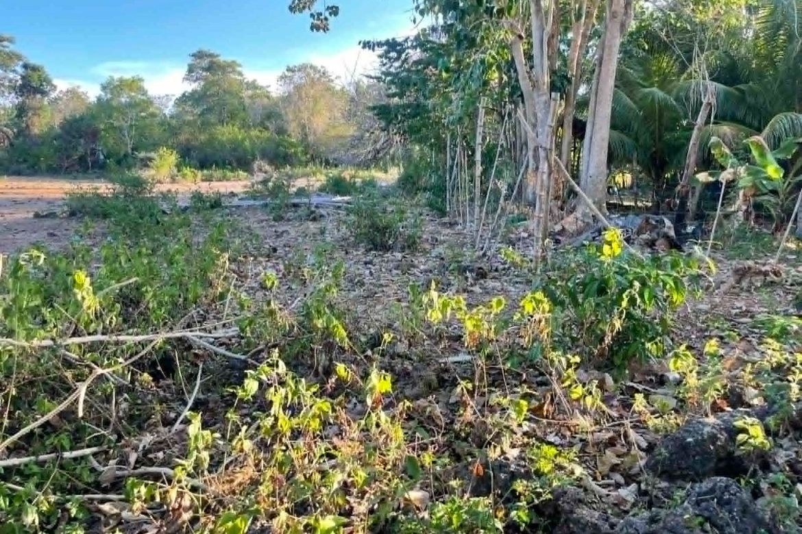 Land for Sale in Caticugan, Siquijor, Siquijor – photo 3