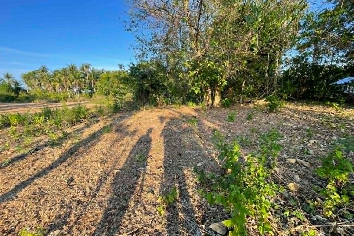 Land for Sale in Caticugan, Siquijor, Siquijor – photo 5