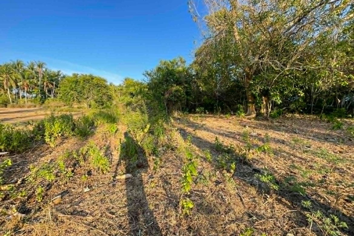 Land for Sale in Caticugan, Siquijor, Siquijor – photo 8