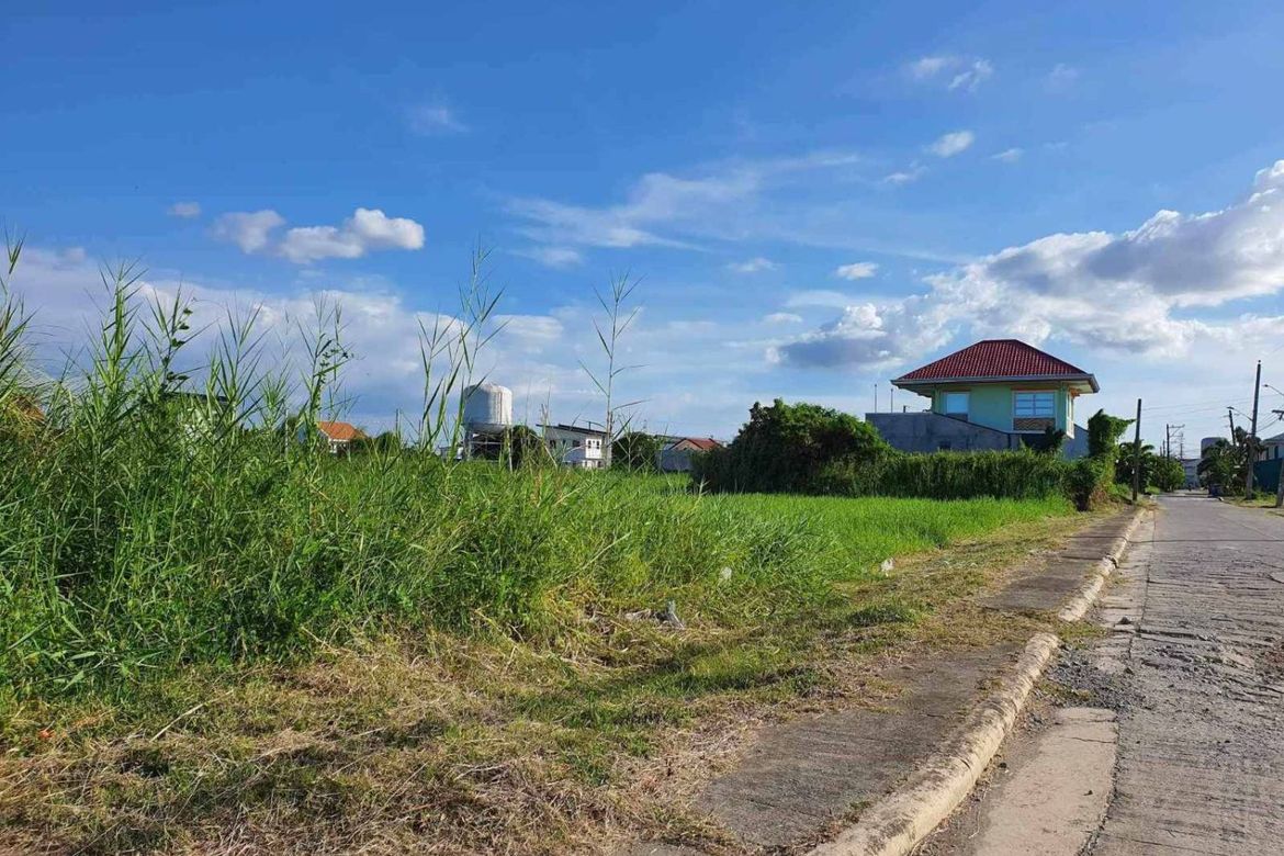 Land for Sale in Catmon, Malolos, Bulacan – photo 4