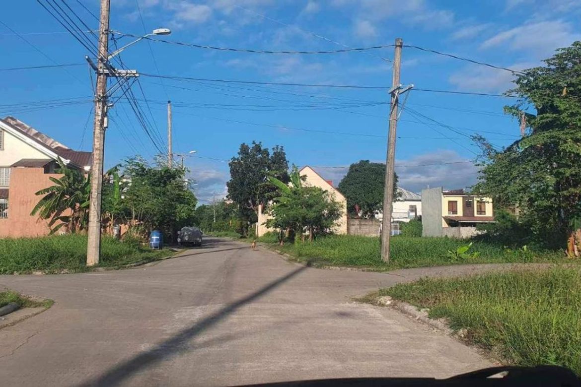 Land for Sale in Catmon, Malolos, Bulacan – photo 8