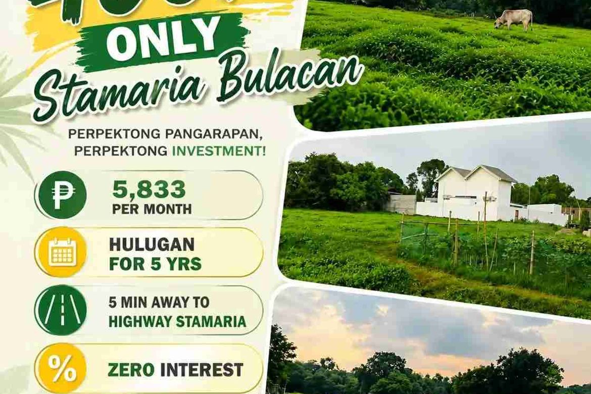 Land for Sale in Catmon, Santa Maria, Bulacan