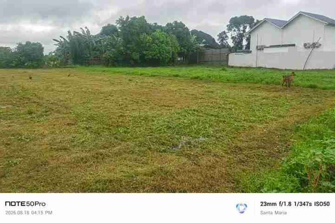 Land for Sale in Catmon, Santa Maria, Bulacan – photo 2