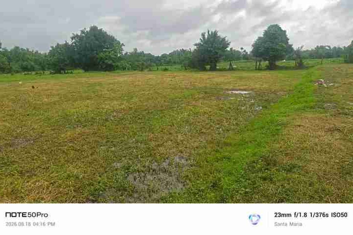 Land for Sale in Catmon, Santa Maria, Bulacan – photo 3