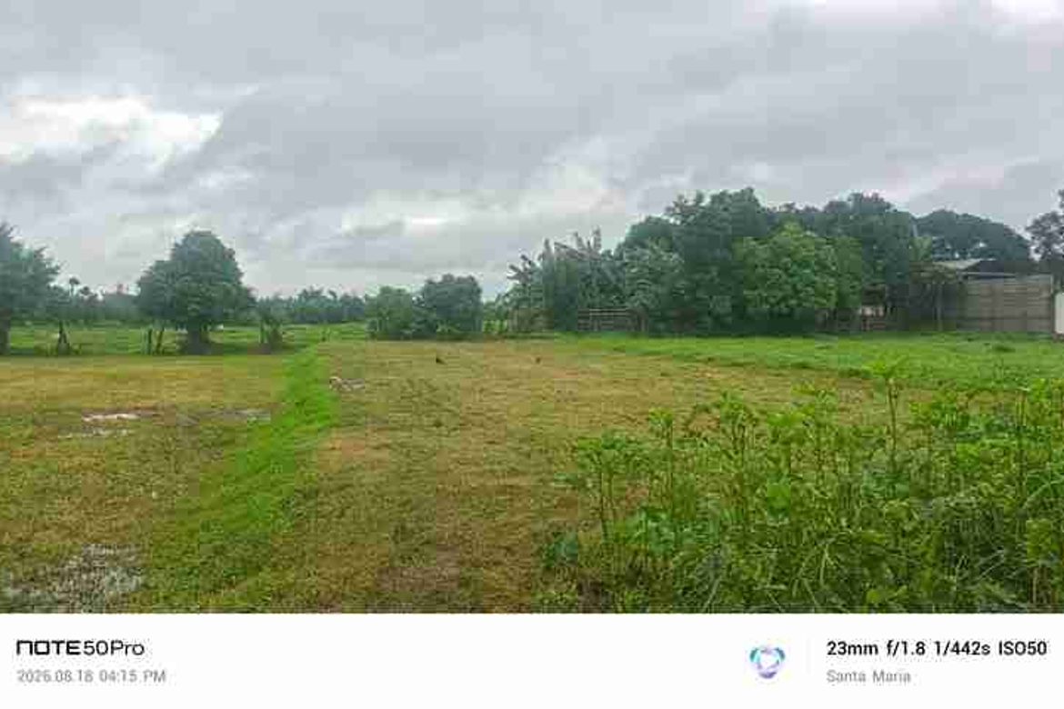 Land for Sale in Catmon, Santa Maria, Bulacan – photo 4