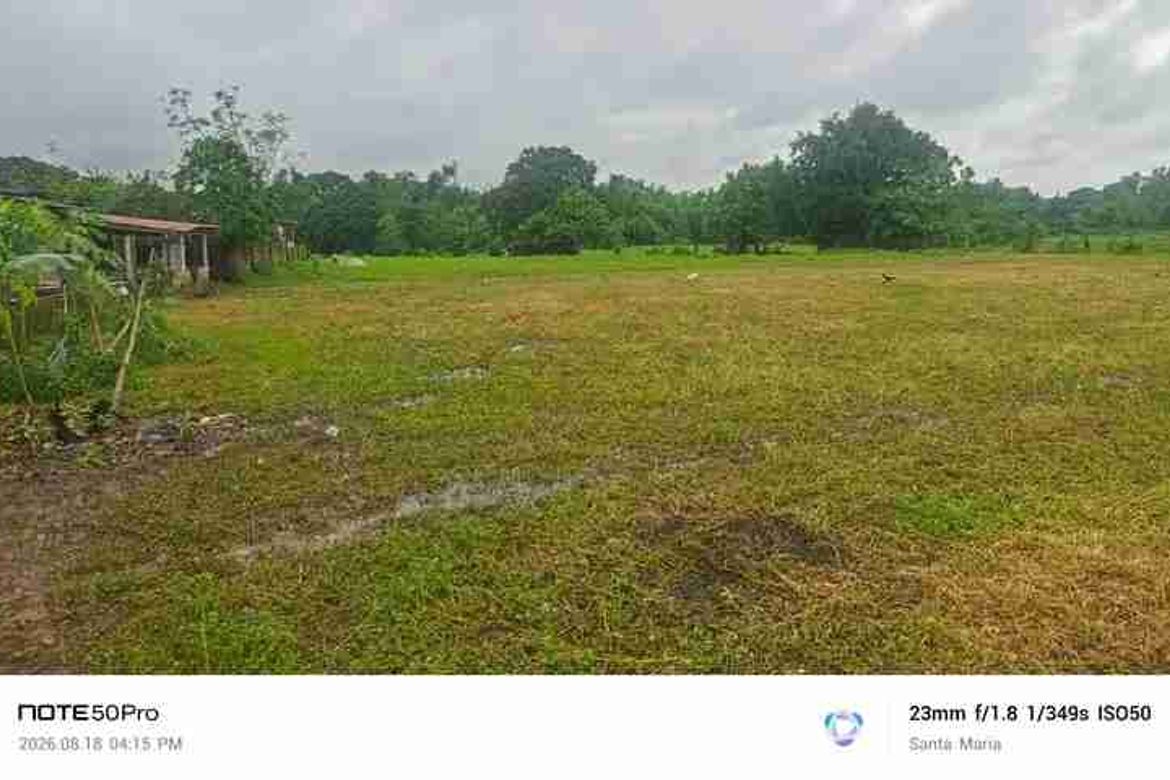 Land for Sale in Catmon, Santa Maria, Bulacan – photo 5