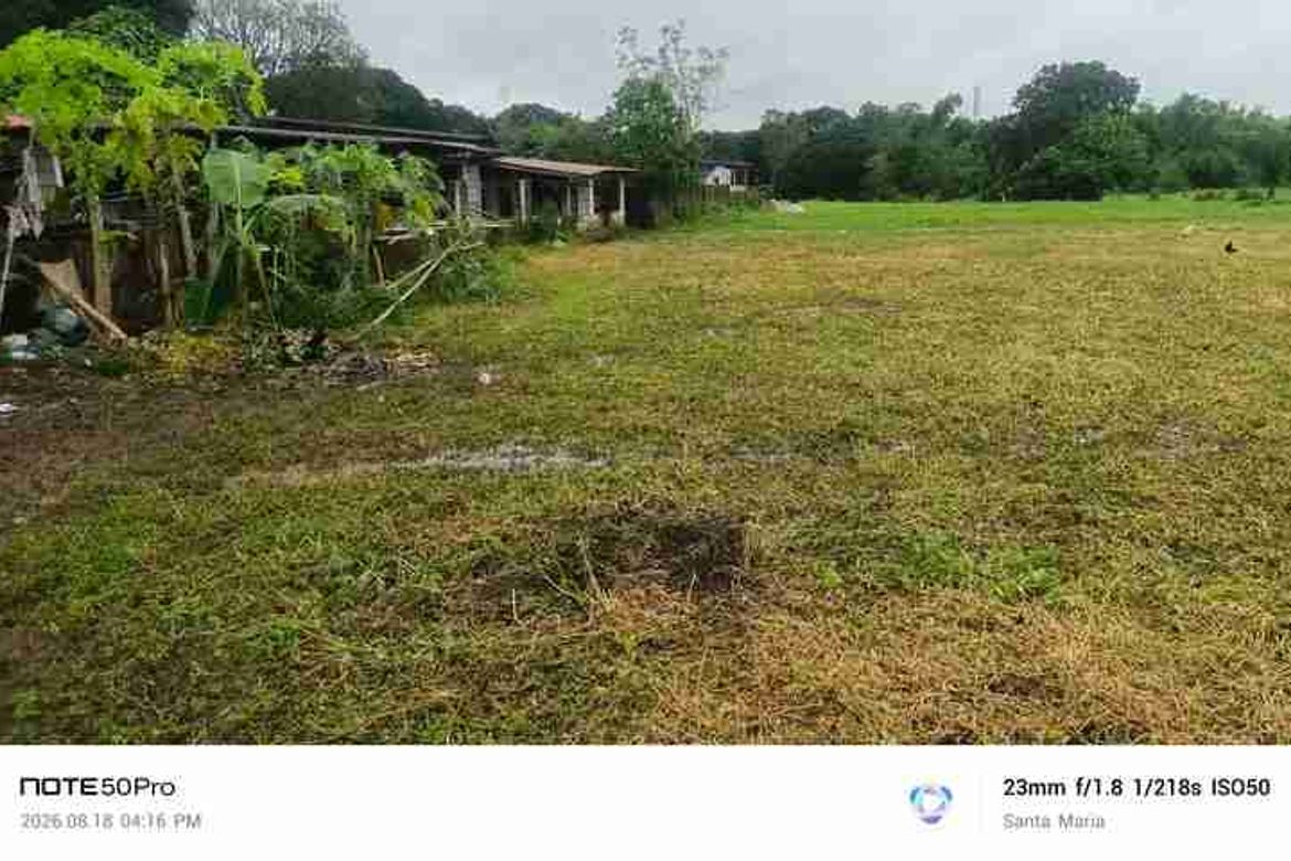 Land for Sale in Catmon, Santa Maria, Bulacan – photo 6