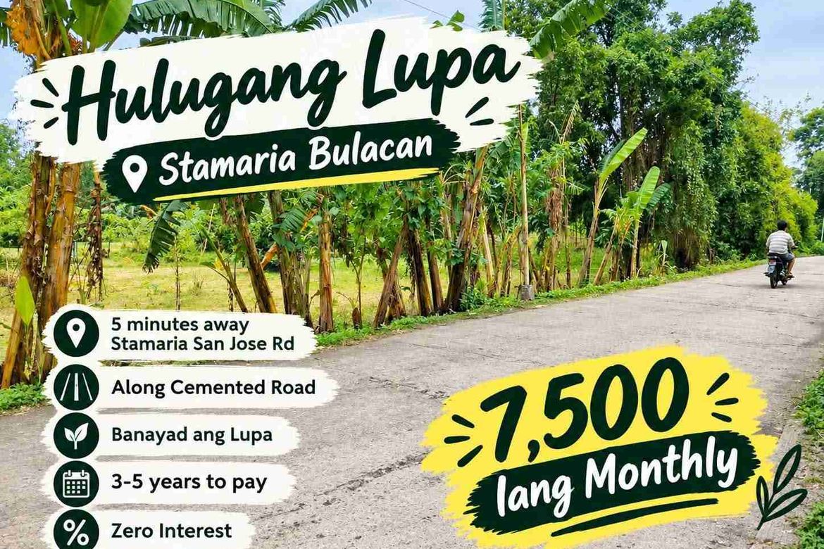 Land for Sale in Catmon, Santa Maria, Bulacan – photo 2