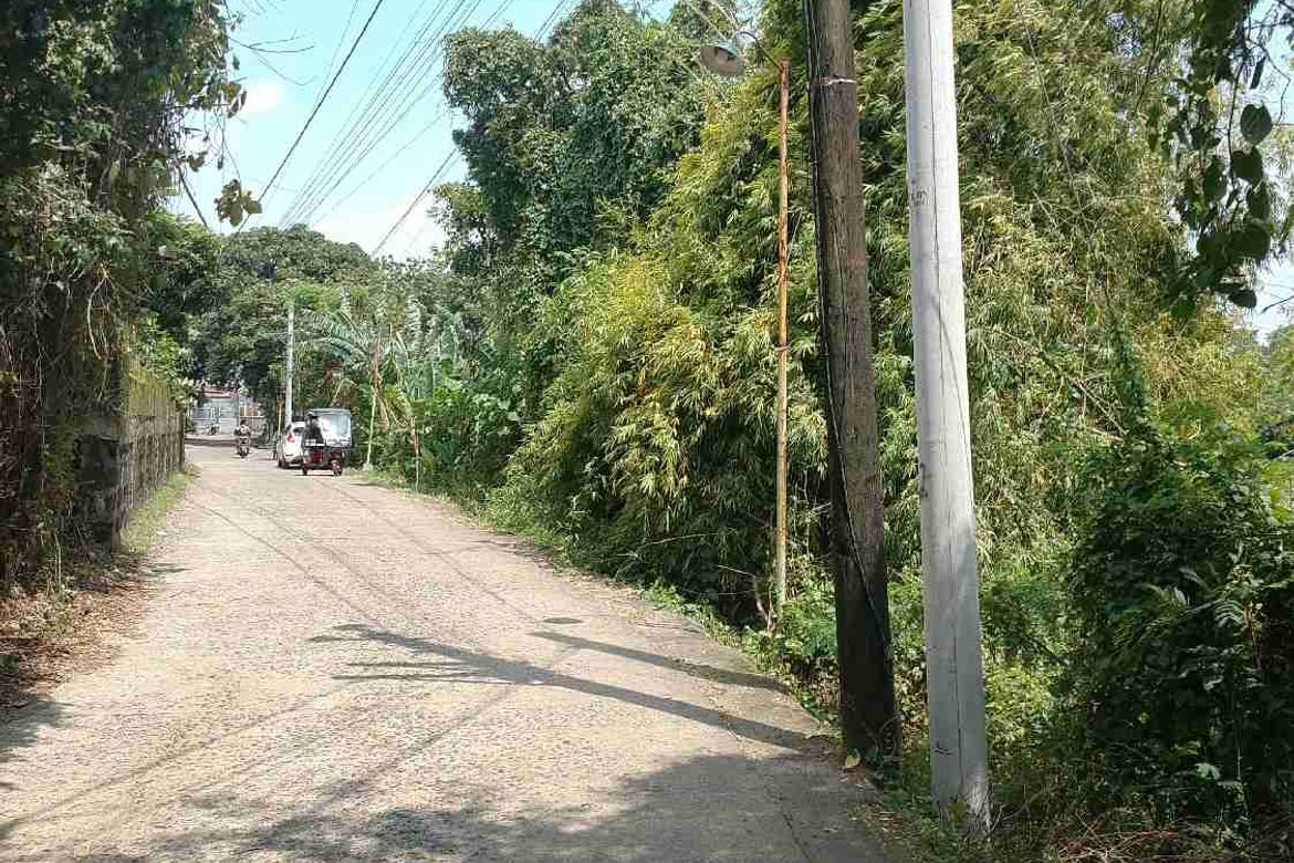 Land for Sale in Catmon, Santa Maria, Bulacan – photo 6