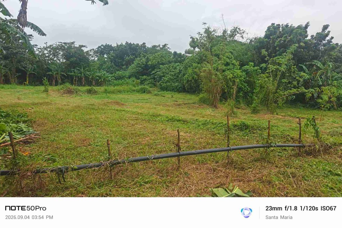 Land for Sale in Catmon, Santa Maria, Bulacan – photo 8