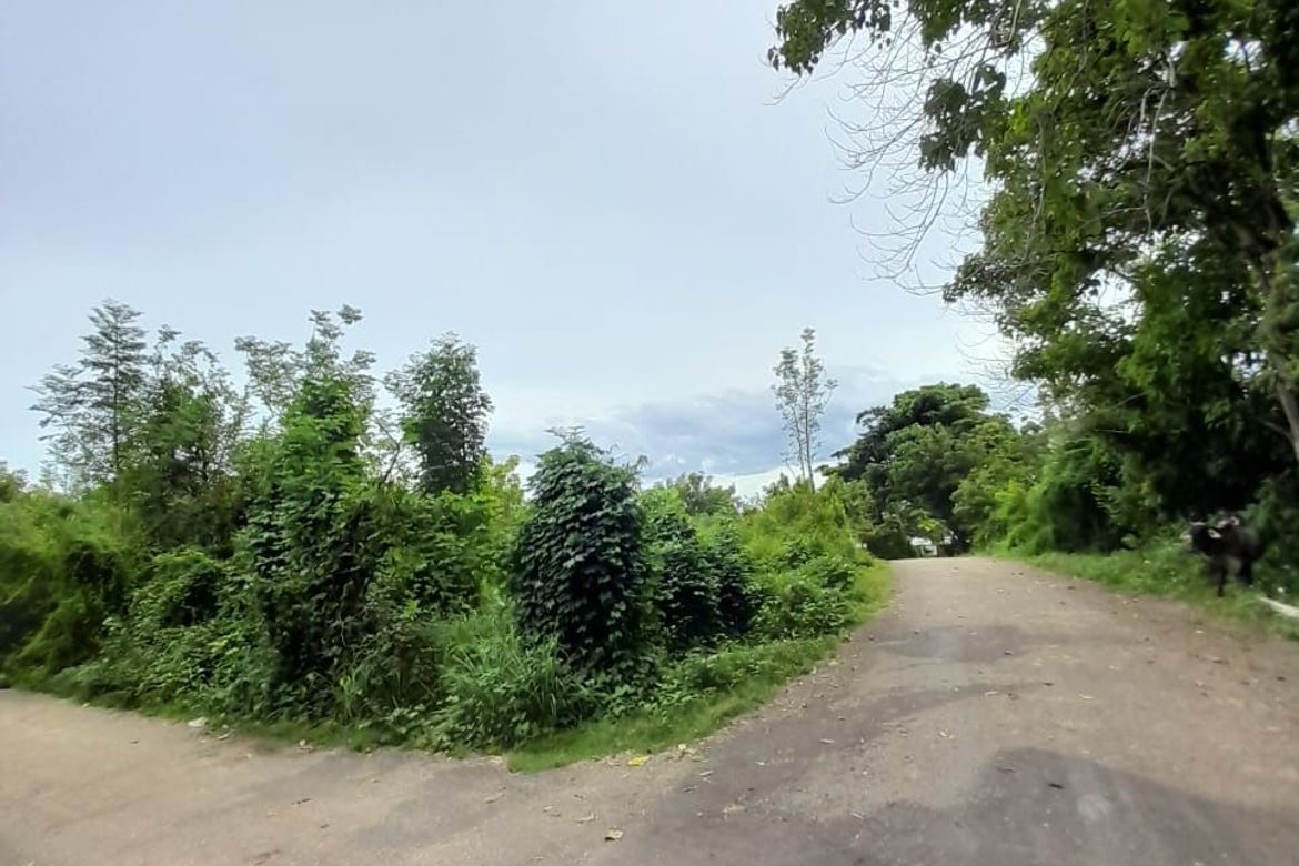 Land for Sale in Catulayan, San Juan, Siquijor
