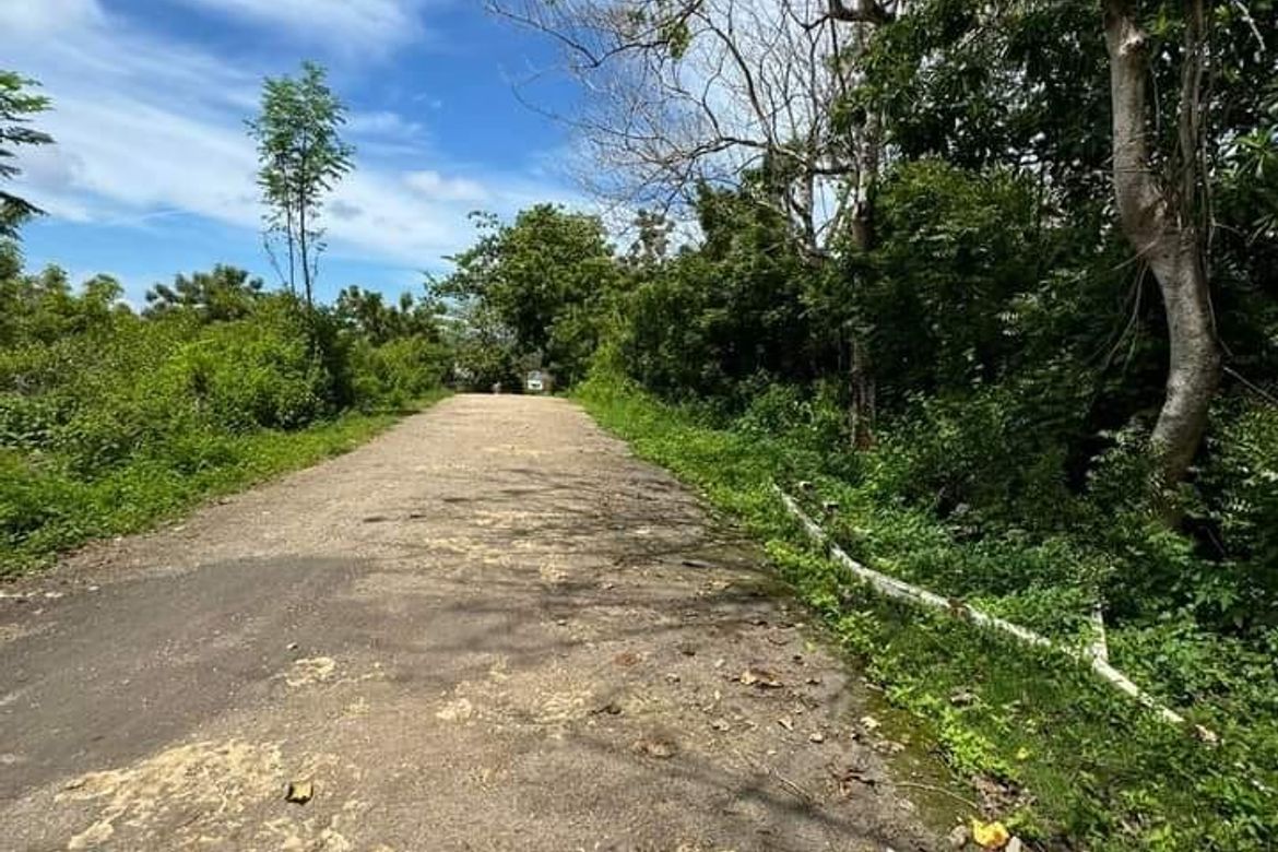 Land for Sale in Catulayan, San Juan, Siquijor – photo 2