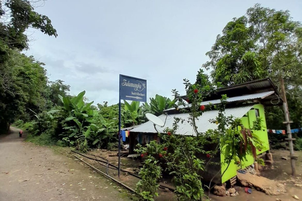 Land for Sale in Catulayan, San Juan, Siquijor – photo 3