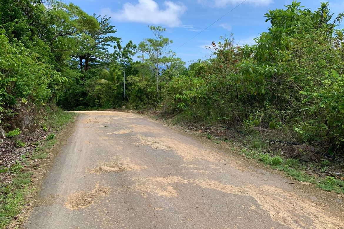 Land for Sale in Catulayan, San Juan, Siquijor – photo 2