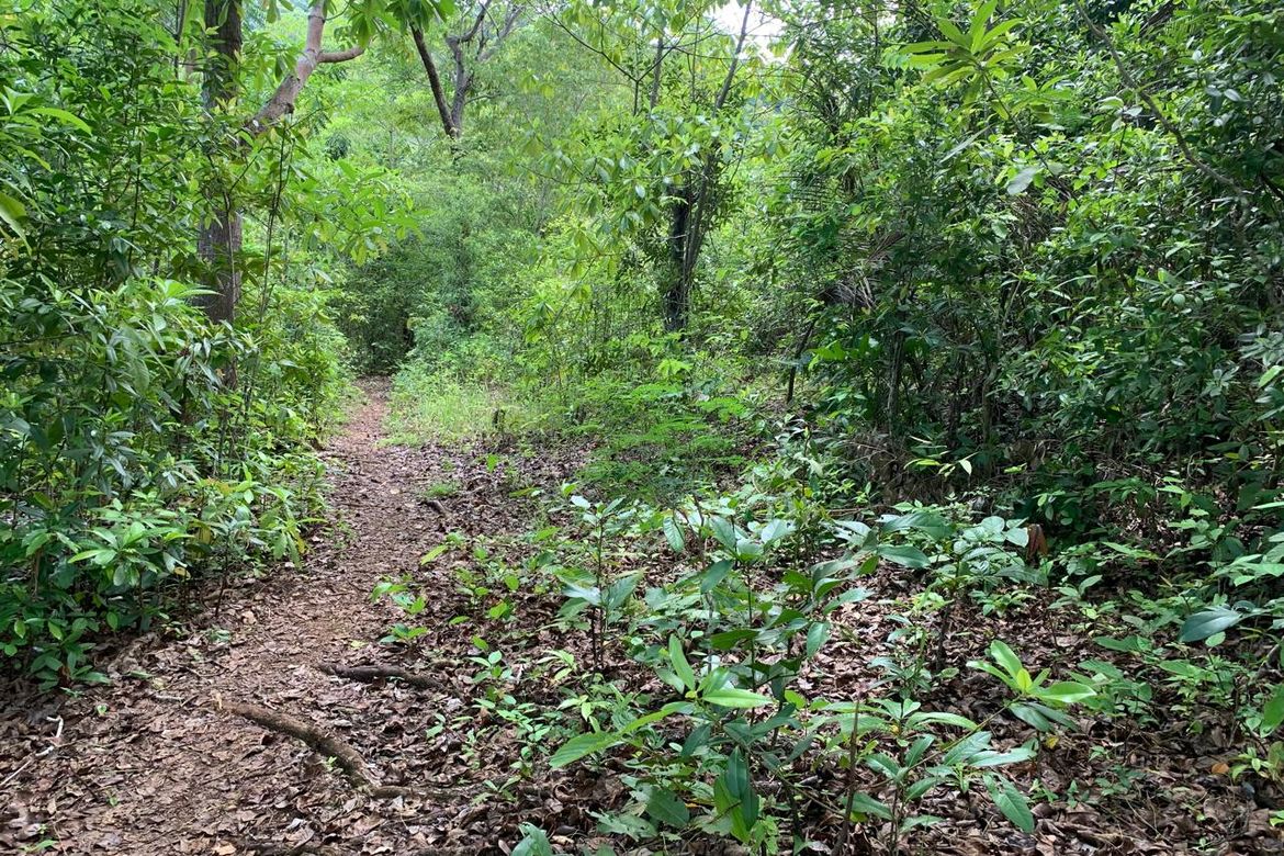 Land for Sale in Catulayan, San Juan, Siquijor – photo 4