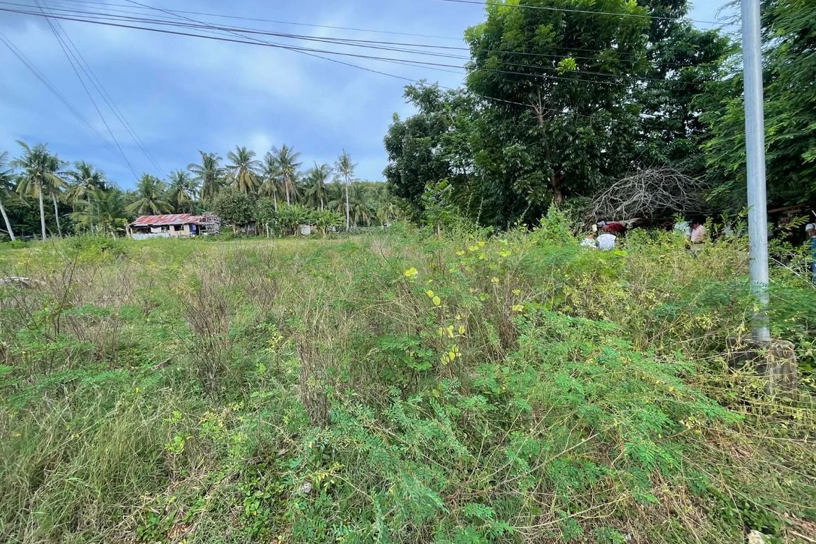 Land for Sale in Catulayan, San Juan, Siquijor – photo 2